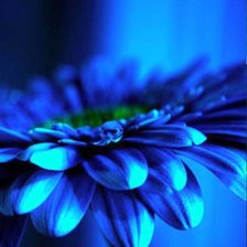 Cross stitch pattern: #273500