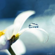 Cross stitch pattern: #273502