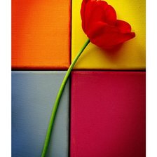 Cross stitch pattern: #273539