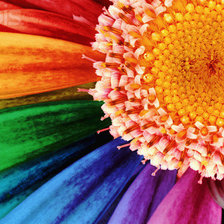 Cross stitch pattern: #273543