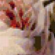 Preview of cross stitch pattern: #274188
