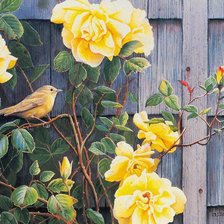 Cross stitch pattern: #274620