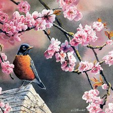 Cross stitch pattern: #274622