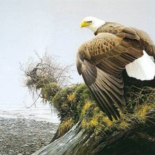 Cross stitch pattern: #274629