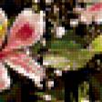 Preview of cross stitch pattern: #274841