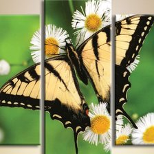 Cross stitch pattern: #275577