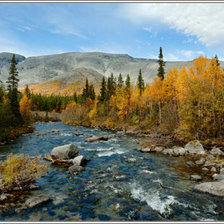 Cross stitch pattern: #276873