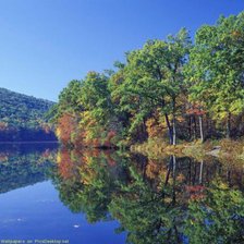 Cross stitch pattern: #276878