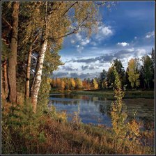 Cross stitch pattern: #276880