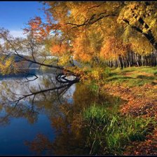 Cross stitch pattern: #276882