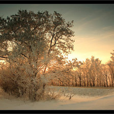 Cross stitch pattern: #276973