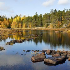 Cross stitch pattern: #276977