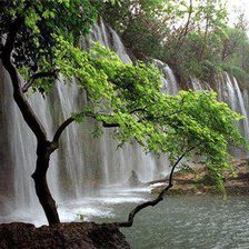 Cross stitch pattern: #276979