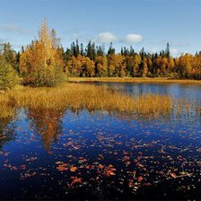 Cross stitch pattern: #276980