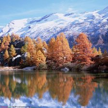 Cross stitch pattern: #276982