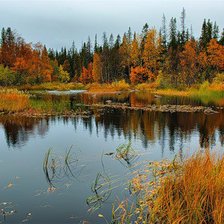 Cross stitch pattern: #276985