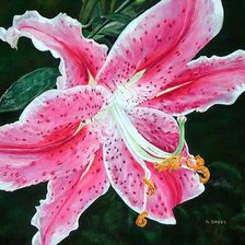 Cross stitch pattern: #277345