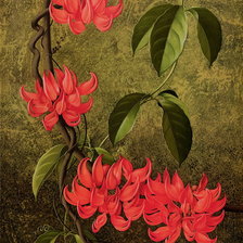 Cross stitch pattern: #277514