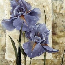 Cross stitch pattern: #277556