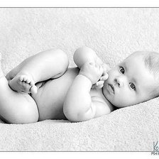 Cross stitch pattern: #278131