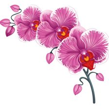 Cross stitch pattern: #278208