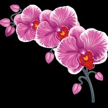 Cross stitch pattern: #278210