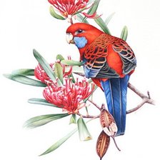 Cross stitch pattern: #278680