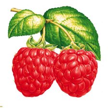 Cross stitch pattern: #279005