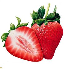 Cross stitch pattern: #279008