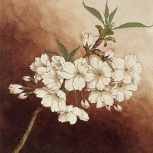 Cross stitch pattern: #281273