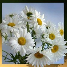 Cross stitch pattern: #281295