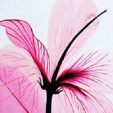 Cross stitch pattern: #281769