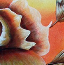 Cross stitch pattern: #281791