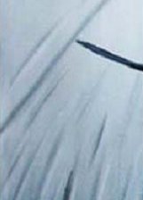 Cross stitch pattern: #281820