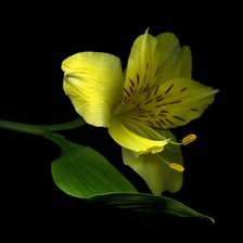 Cross stitch pattern: #282134