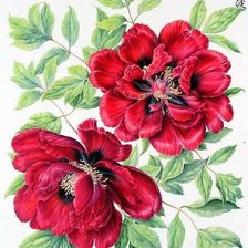 Cross stitch pattern: #282450