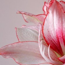 Cross stitch pattern: #283347