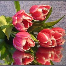 Cross stitch pattern: #283356