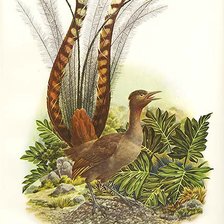 Cross stitch pattern: #283847