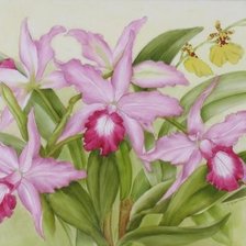 Cross stitch pattern: #283935