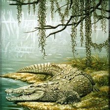 Cross stitch pattern: #283992