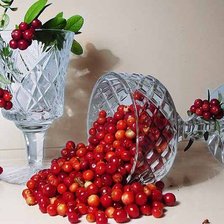 Cross stitch pattern: #284304