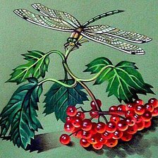 Cross stitch pattern: #284368