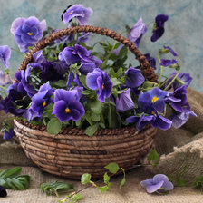 Cross stitch pattern: #284624