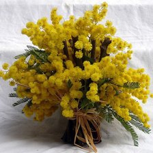 Cross stitch pattern: #284937