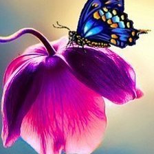 Cross stitch pattern: #286084