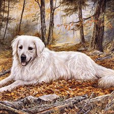 Cross stitch pattern: #286223