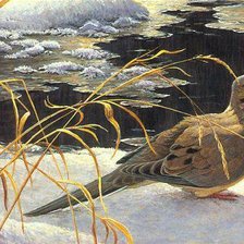 Cross stitch pattern: #286346