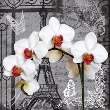 Cross stitch pattern: #286780