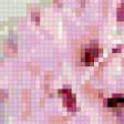 Preview of cross stitch pattern: #287019